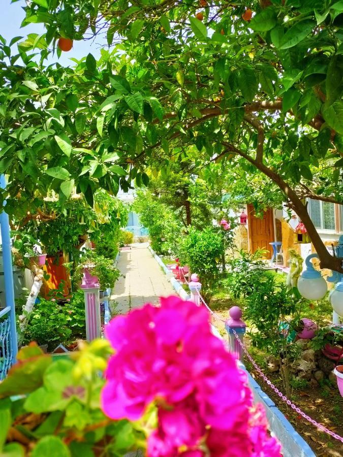 Side Erenler Hotel 외부 사진