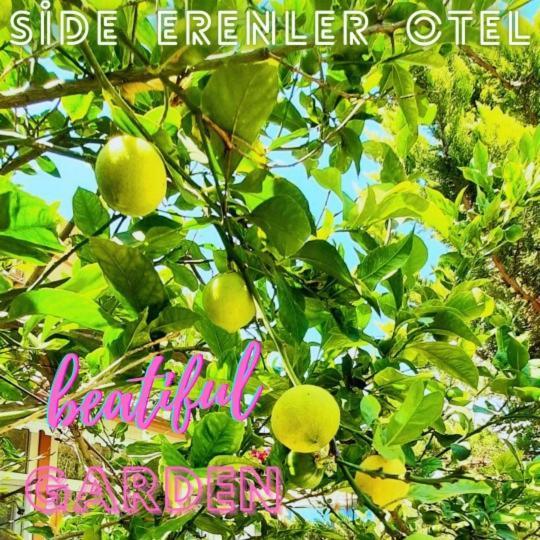 Side Erenler Hotel 외부 사진